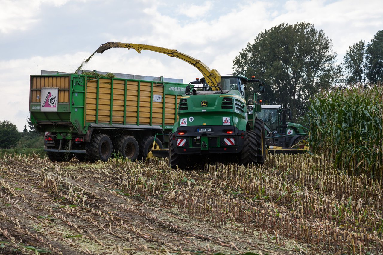 Bild 210 - Maisernte